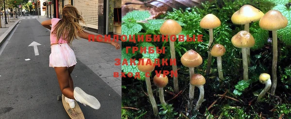 СК Арсеньев